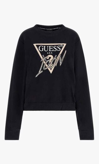 Triangle Icon Logo Sweatshirt