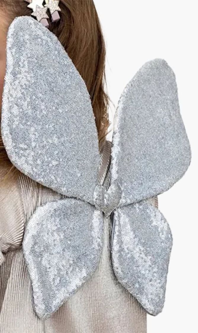 Silver Wings