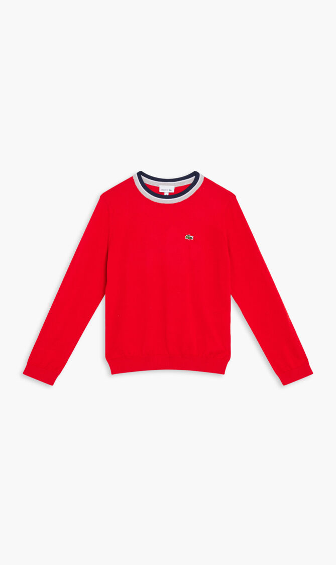 Full Sleeve Sweater