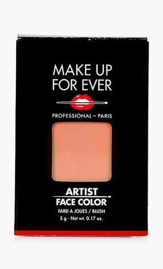 Artist Face Color Refill, B302