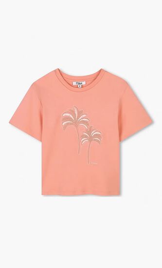 Short Sleeves T-Shirt