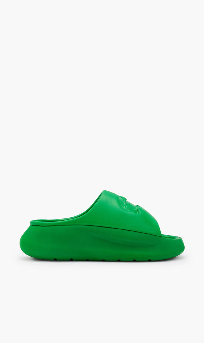 SERVE SLIDE 30 223 1 CMA GRNGRN