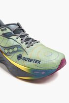 Triumph 22 Gtx Sneakers