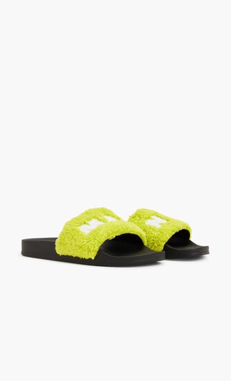 Logo Terry Slides
