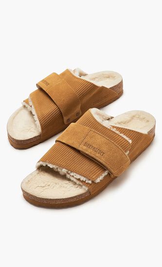 Kyoto Teddy Leve