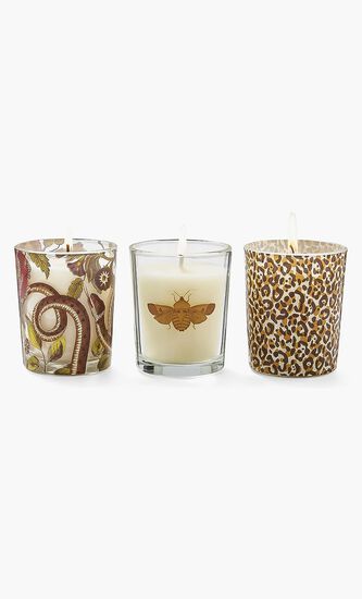 Creatures of Curiosity Set of 3 Votive Candles