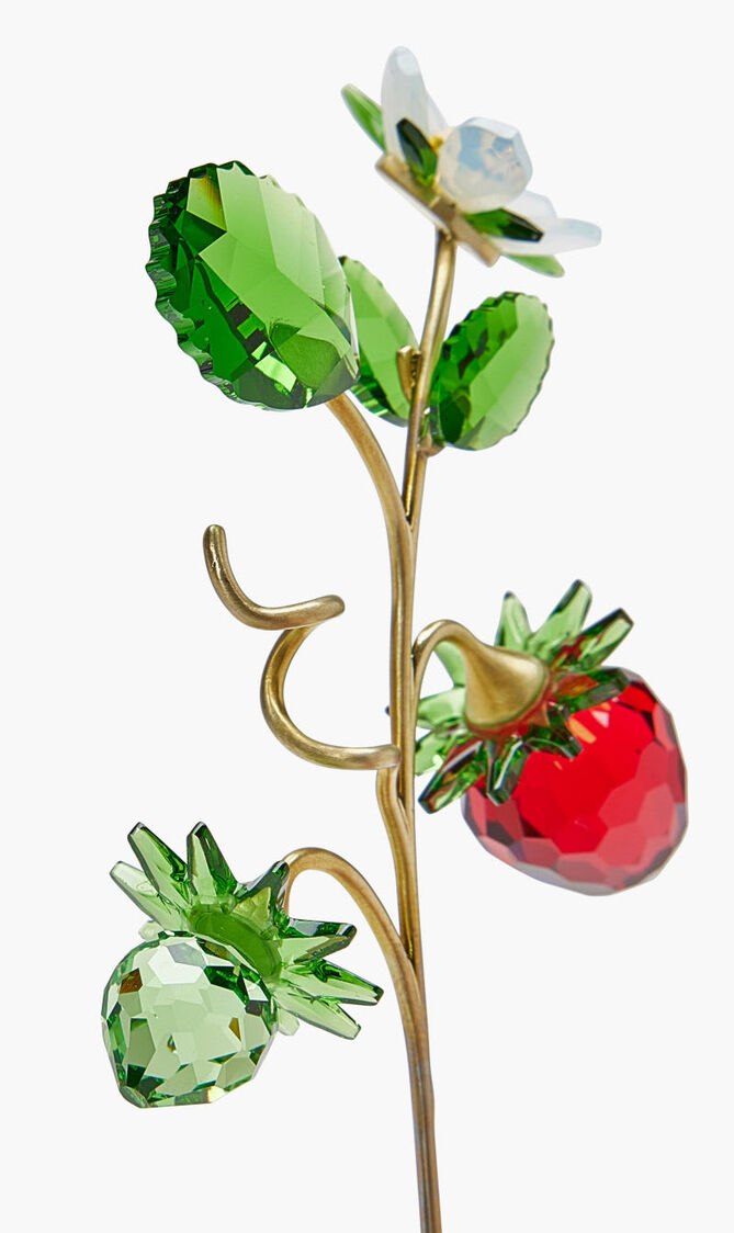 CL GARDEN TALES WILD STRAWBERRY