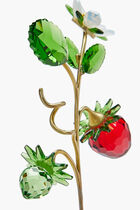CL GARDEN TALES WILD STRAWBERRY
