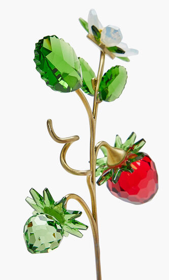 CL GARDEN TALES WILD STRAWBERRY