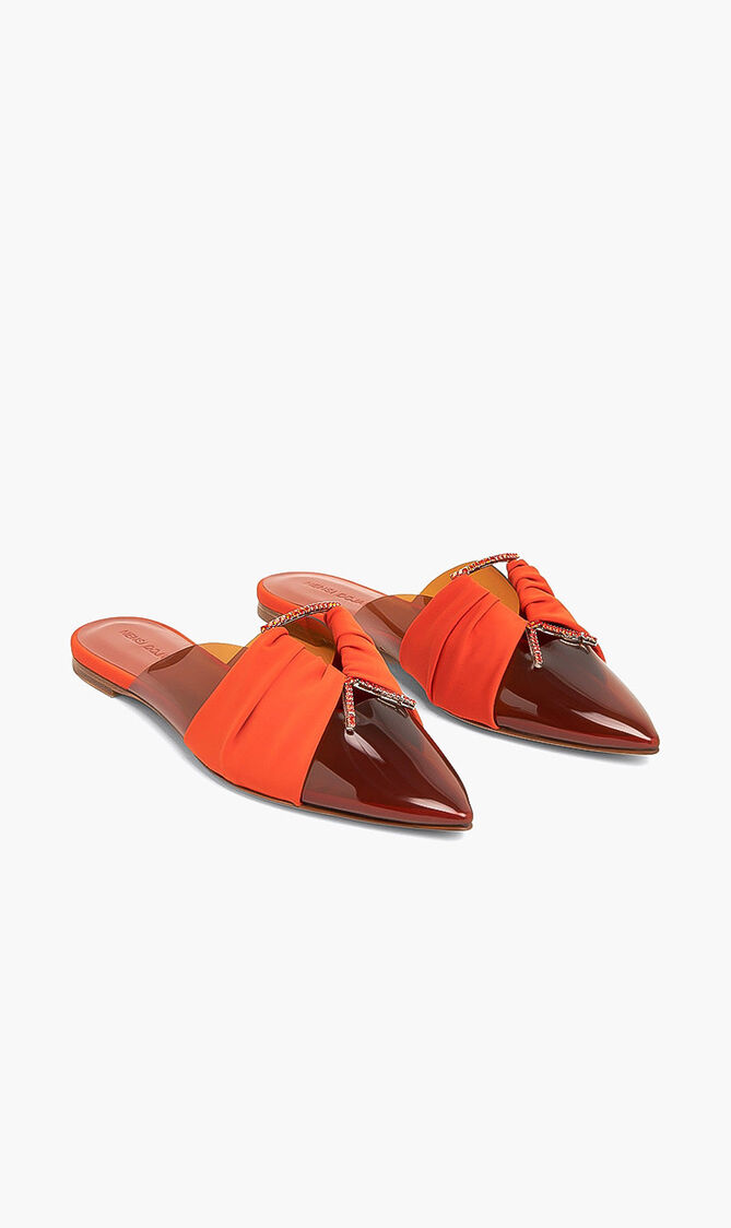 Pointed Toe Flats