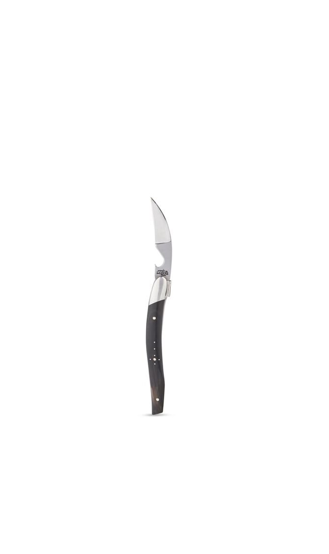 Sommelier Knife and Corkscrew