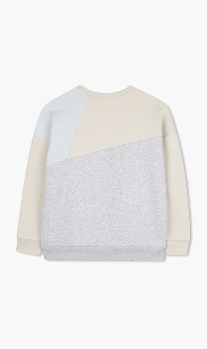 Block Design Crew Sweatshirt