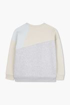 Block Design Crew Sweatshirt