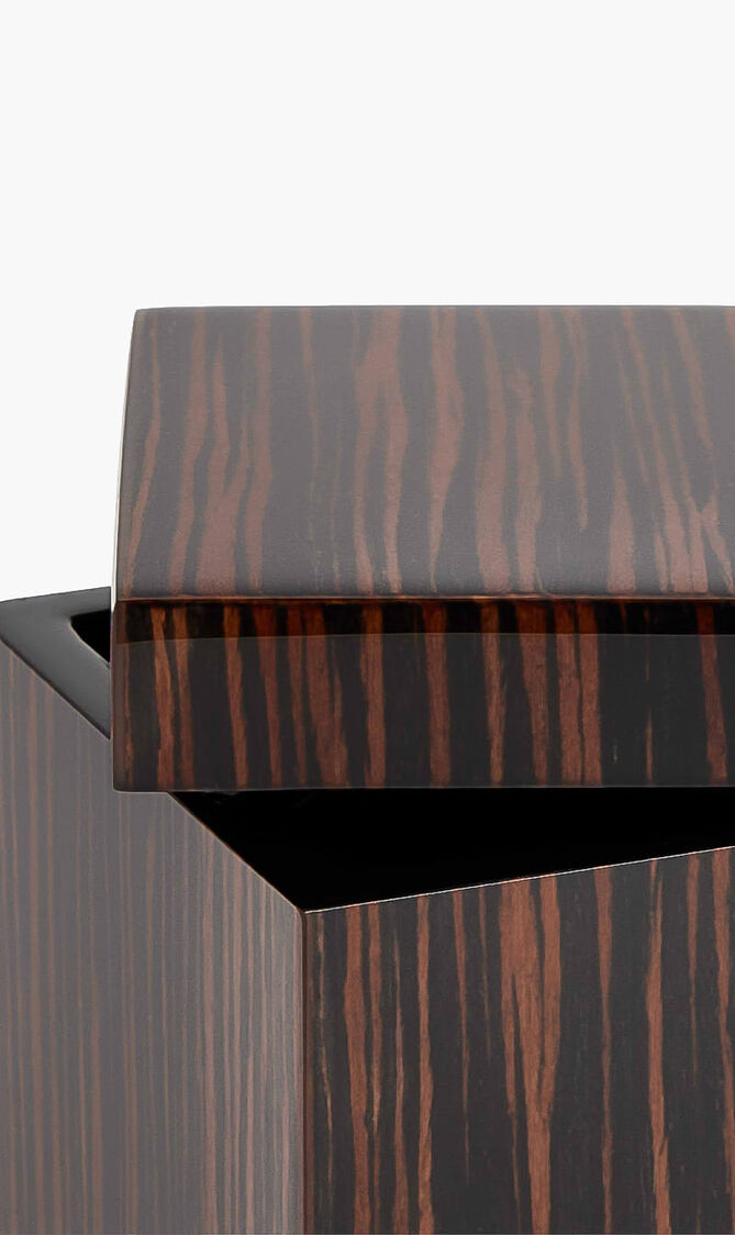 Macassar Ebony Cube Box