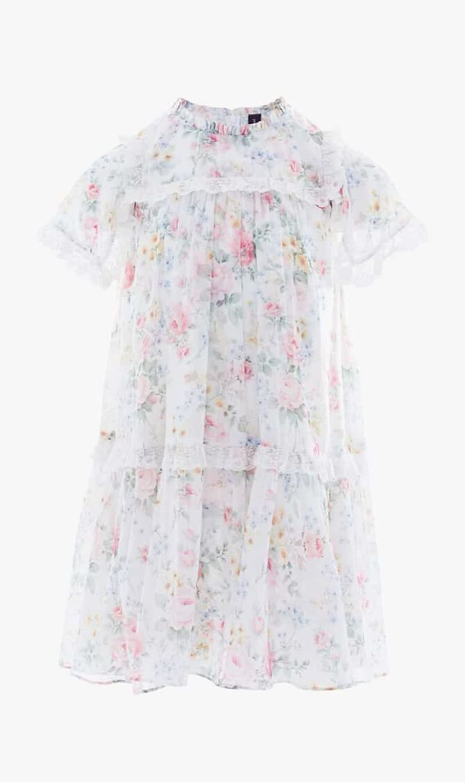 Pompadour Garden Chiffon Lace Dress