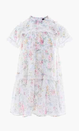Pompadour Garden Chiffon Lace Dress