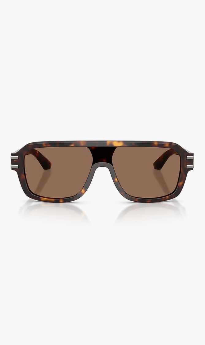 Havana Sunglasses