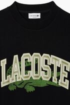 Loose Fit Fleece Sweatshirt