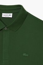 Regular Fit Polo