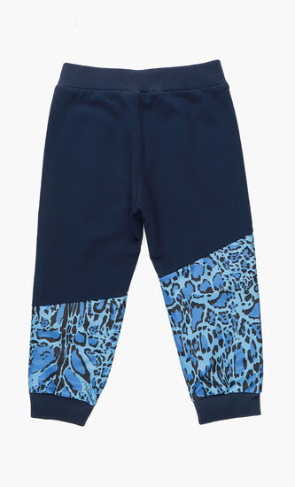 Leopard Print Nylon Jogger
