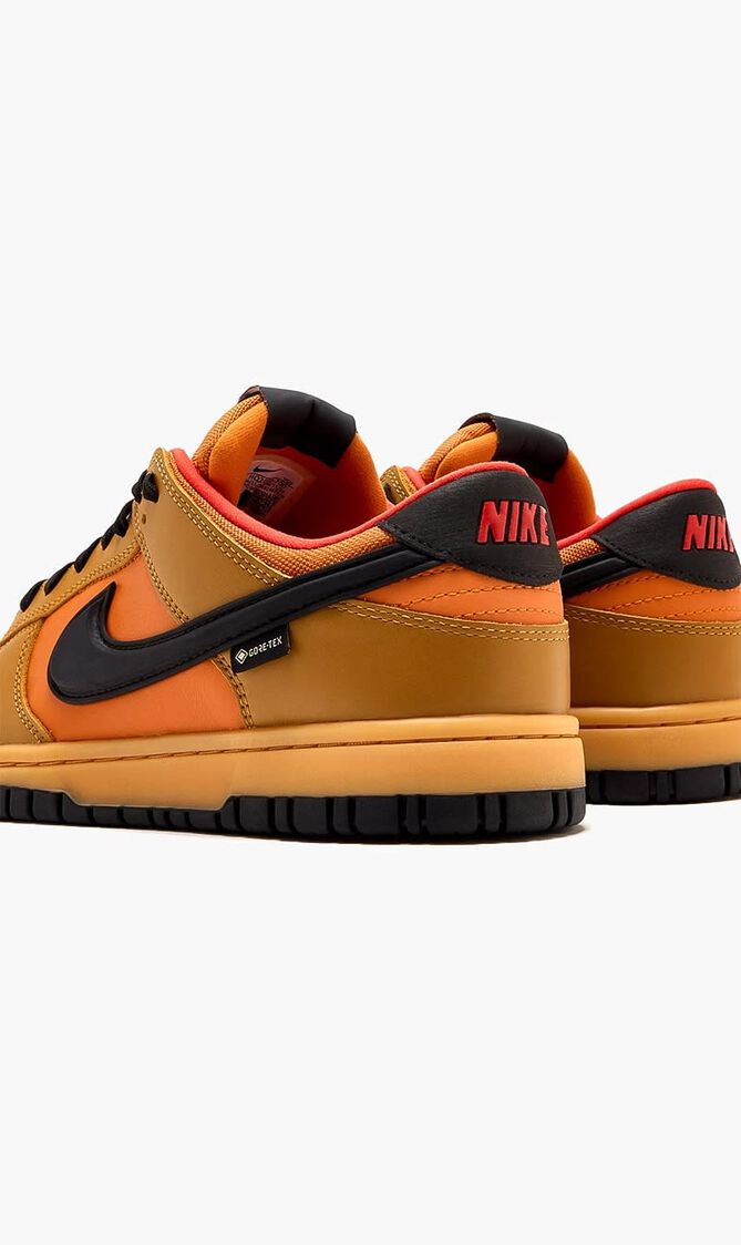 NIKE DUNK LOW GTX