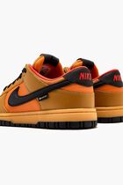 NIKE DUNK LOW GTX