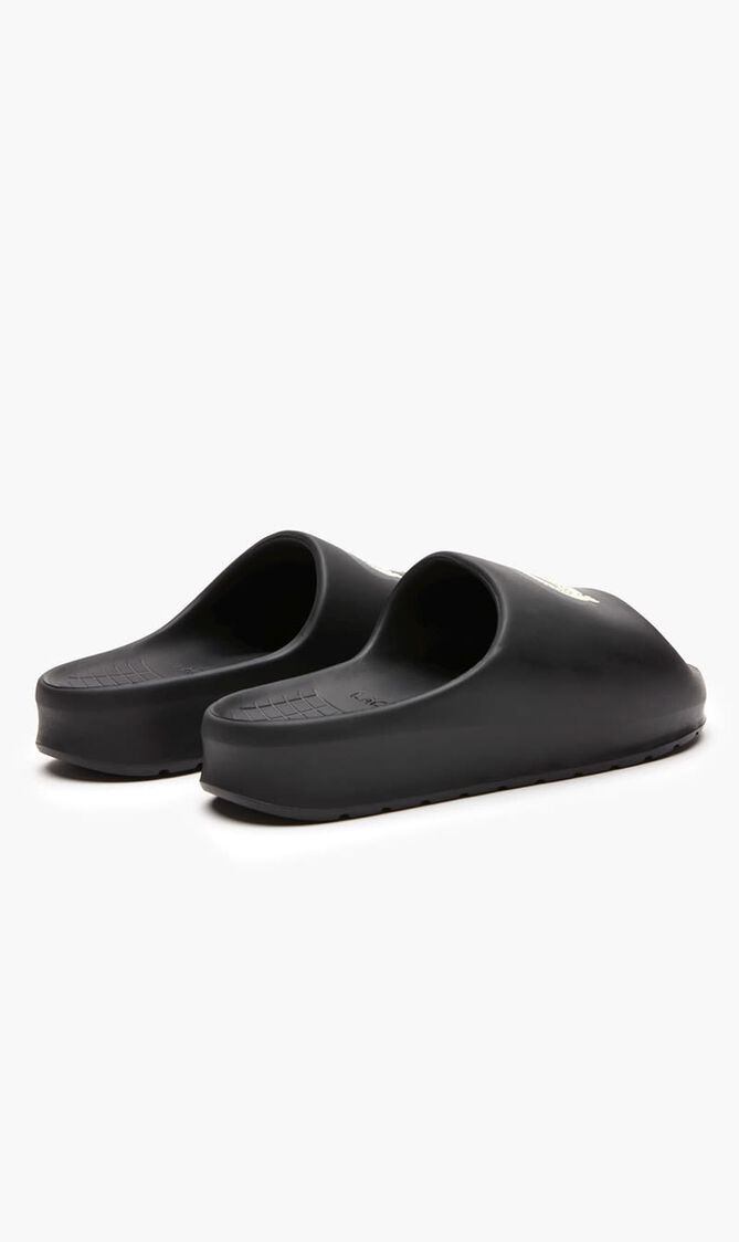 SERVE SLIDE 2 123 1 CFA SERVE SLIDE 2 123 1 CFA