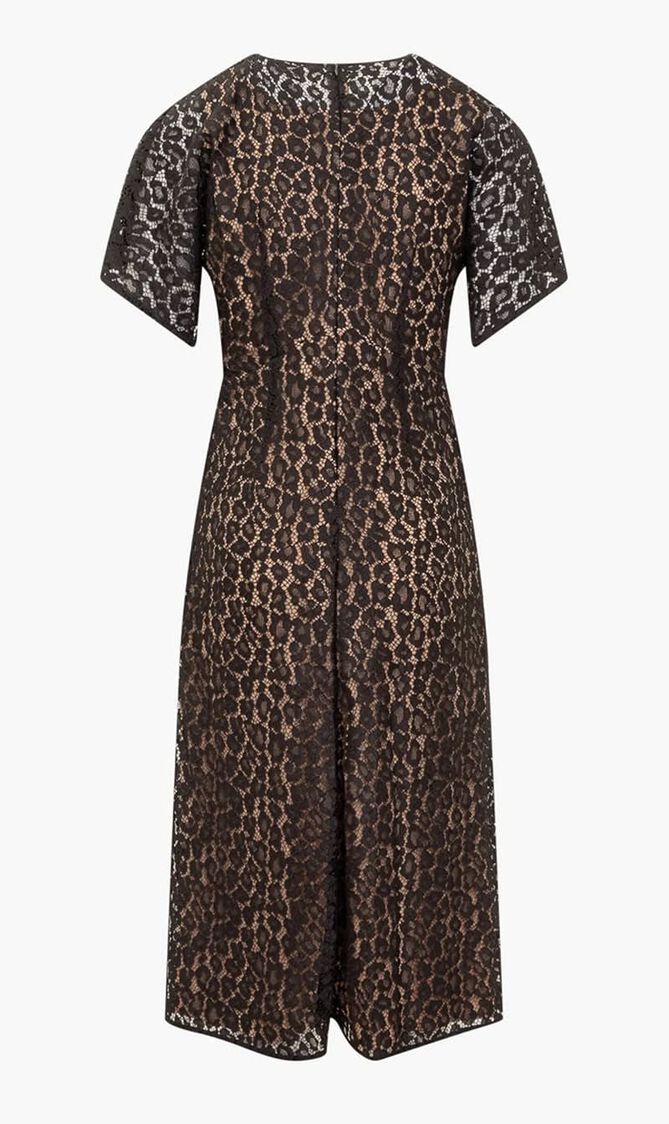 Cheetah Lace Midi Dress