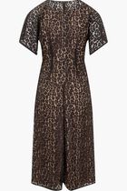 Cheetah Lace Midi Dress Cheetah Lace Midi Dress