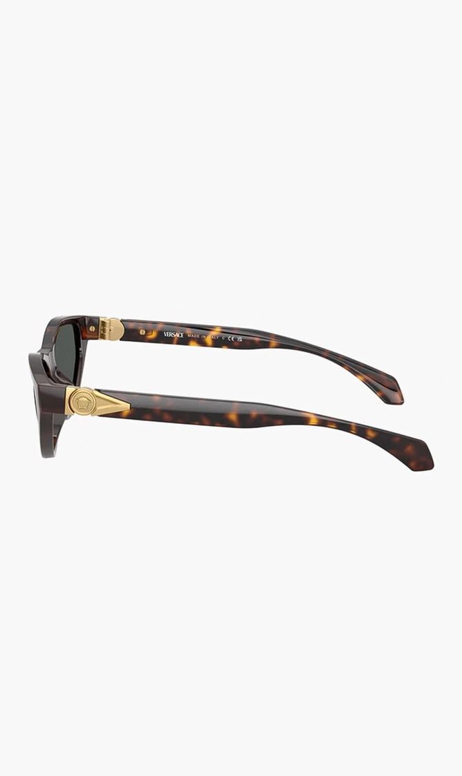 Havana Sunglasses