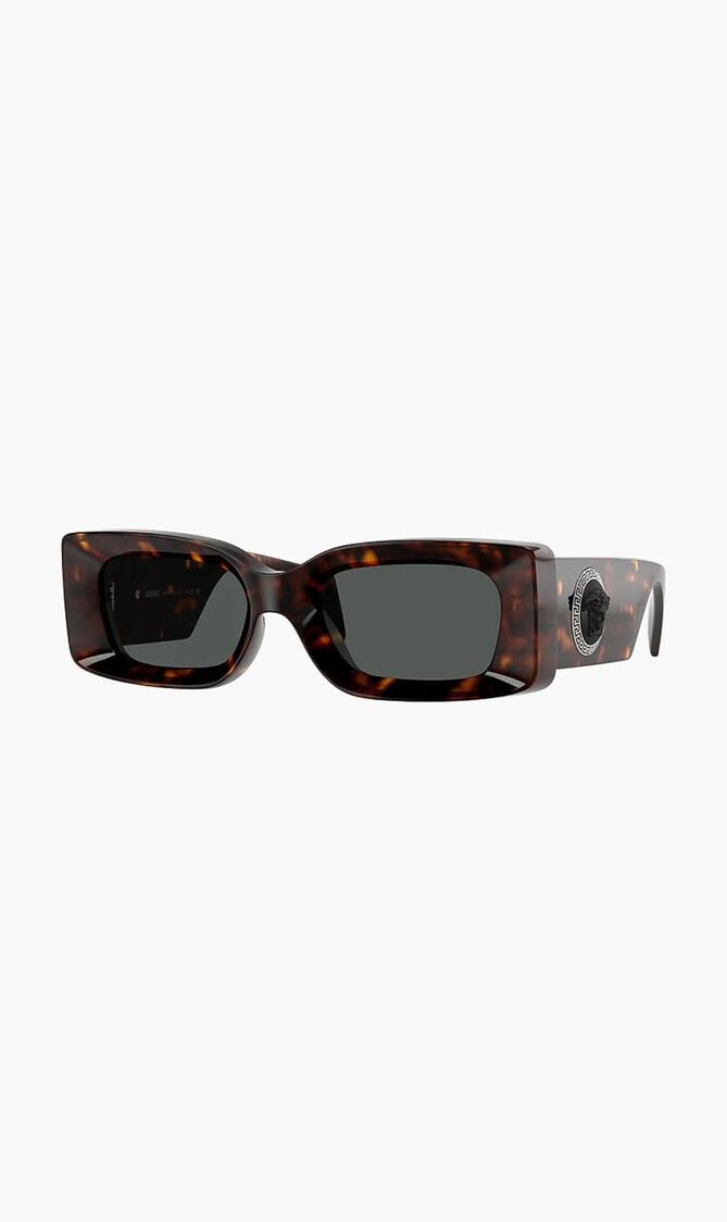 Havana Sunglasses