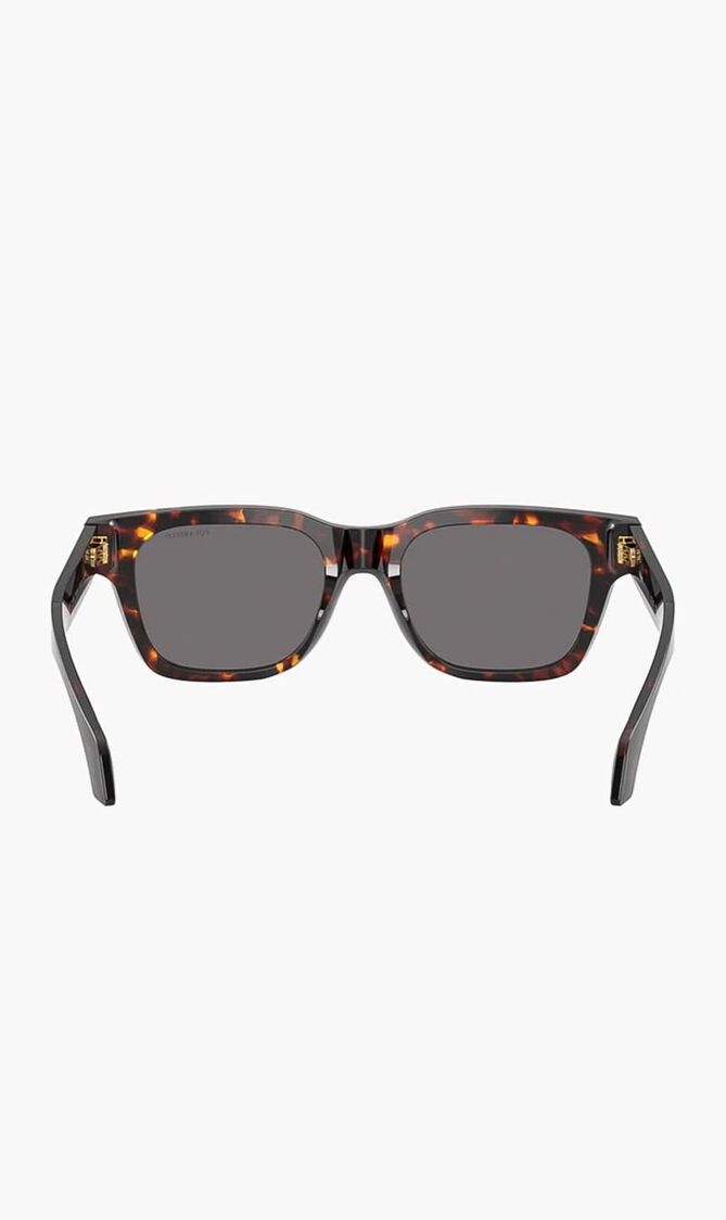 Havana Sunglasses
