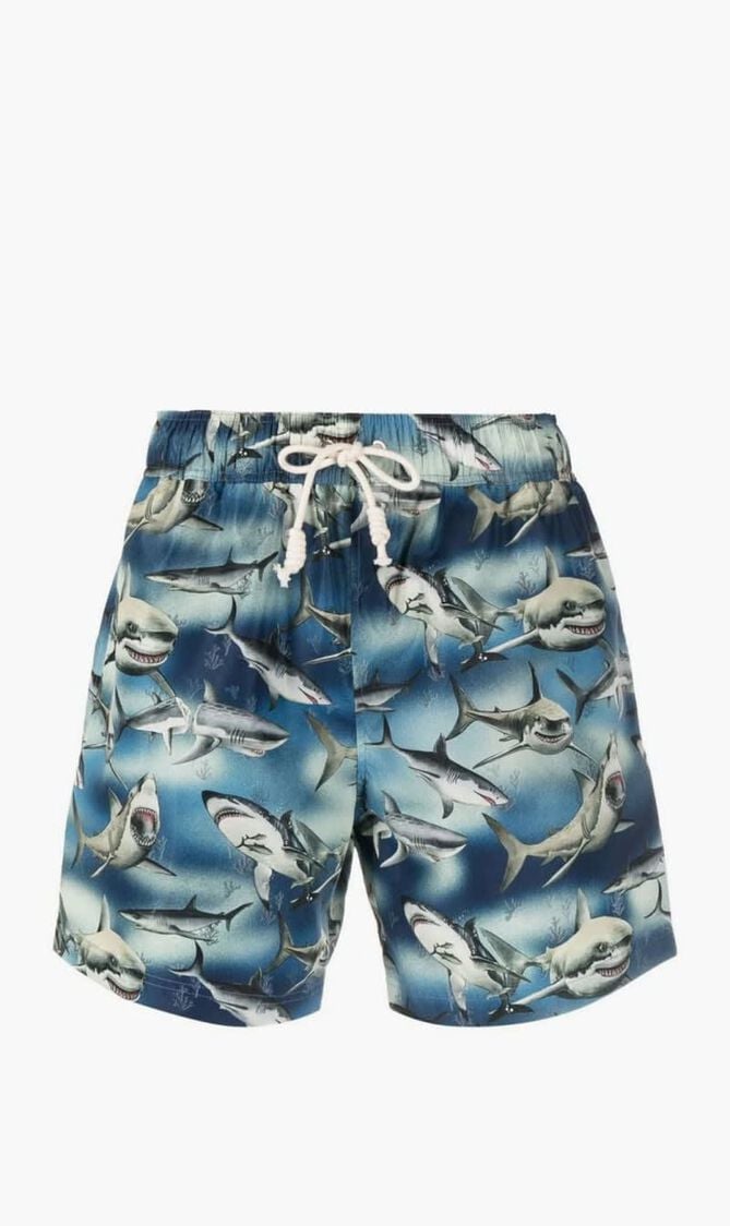 SHARKS SWIMSHORTS
