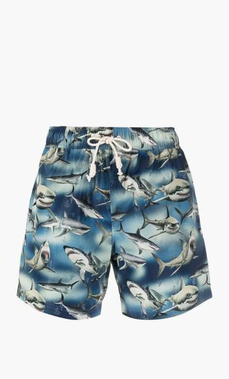 SHARKS SWIMSHORTS