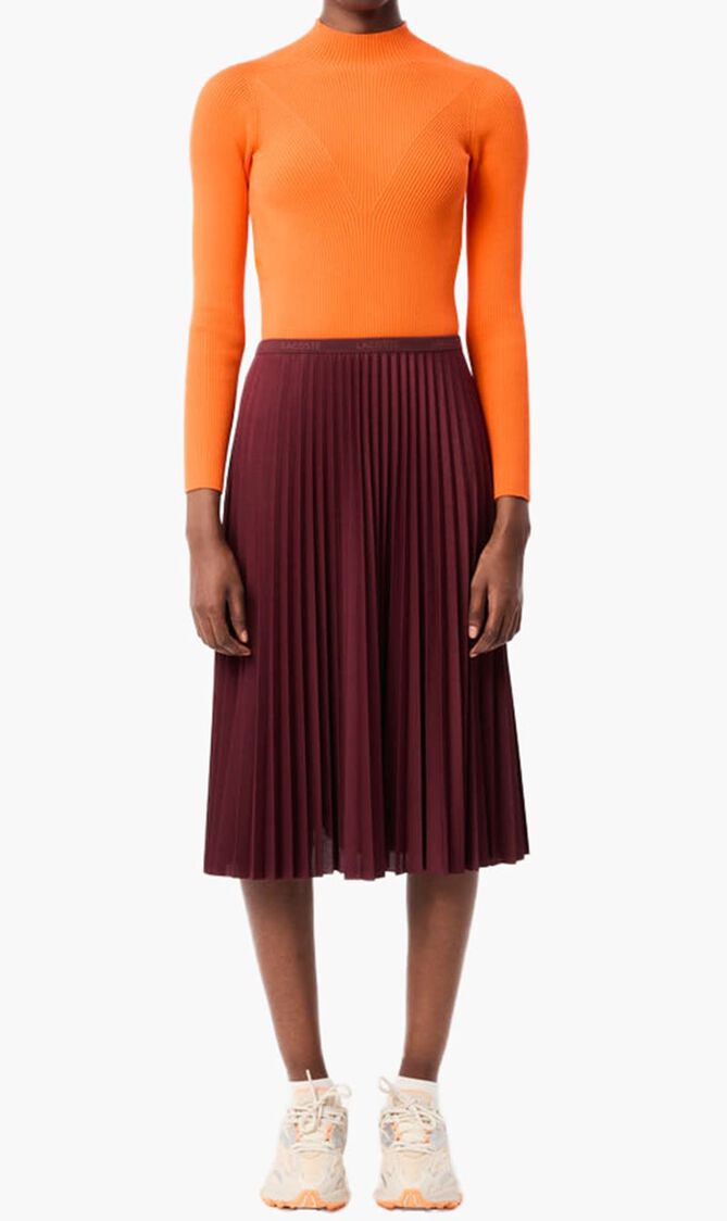 Elasticised Waist Pleated Skirt