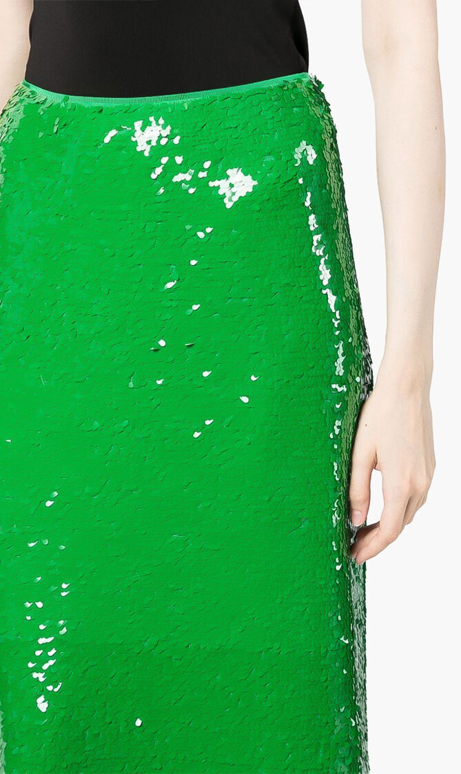 Sequin Skirt