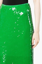 Sequin Skirt