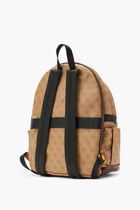 VEZZOLA DOCUMENT CAS