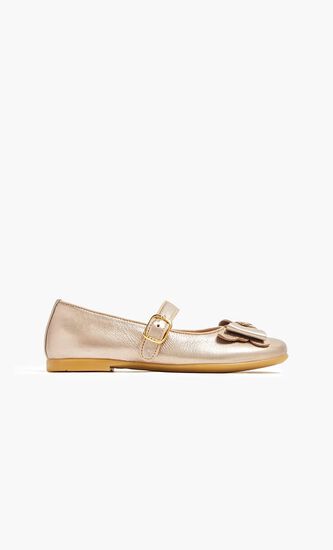Mary Janes Ballerinas