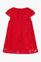 Half Sleeve Lace Dress