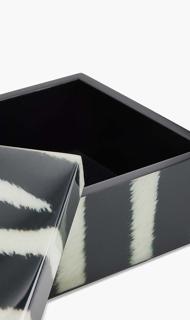 صندوق تزييني مزيّن بنقش الزيبرا صندوق تزييني مزيّن بنقش الزيبرا