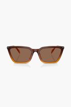 EVERGLADES WAYFARER SUNGLASSES