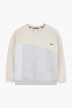 Block Design Crew Sweatshirt