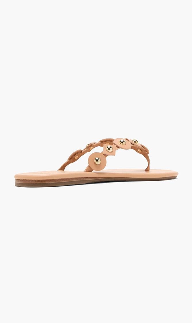 DIKTIS VACHETTA NATURAL PLATINUM
