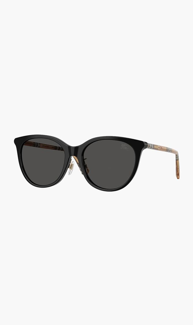 Full Rim Sunglasses
