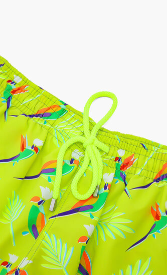 Moorea Swimshorts