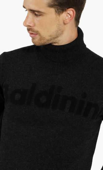 Logo Turtleneck Sweater