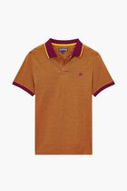 Cotton Pique Polo