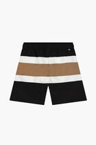 Signature Striped Swim Shorts