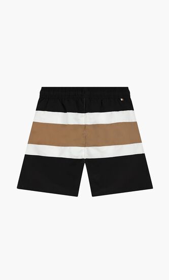 Signature Striped Swim Shorts
